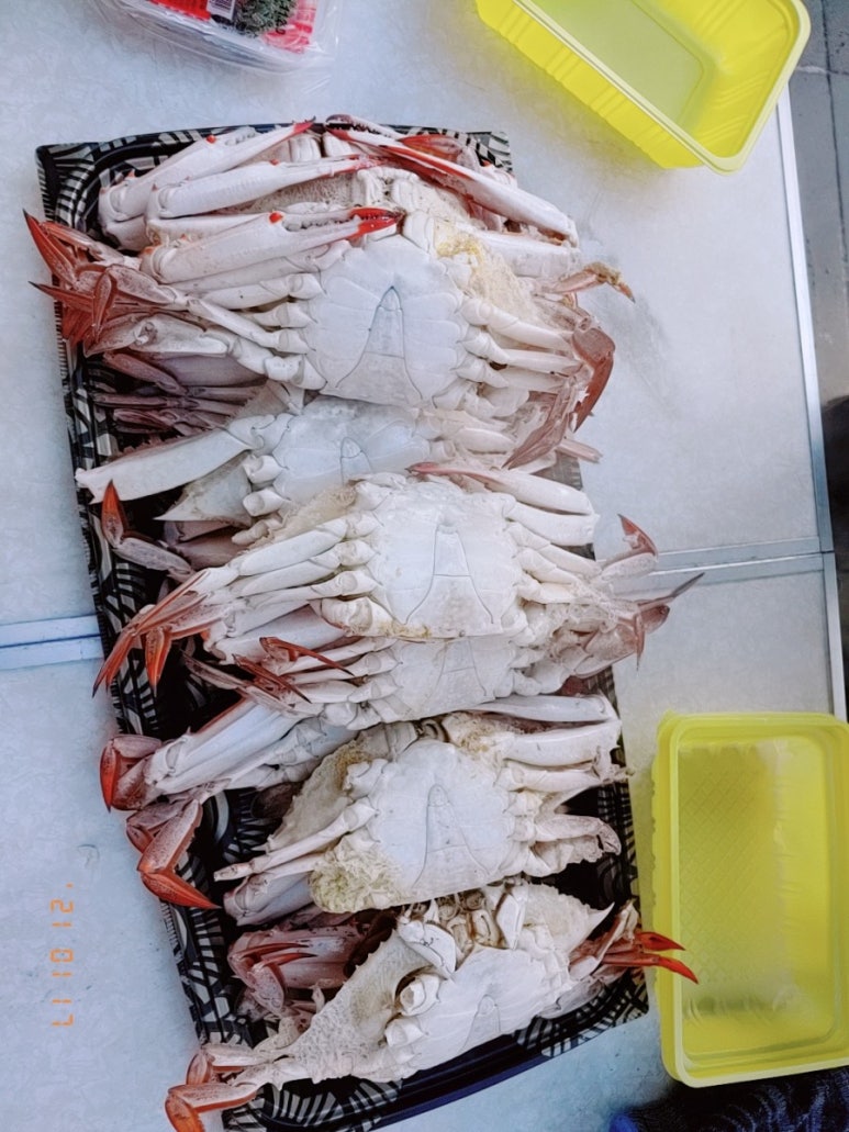 정서진닭발 이미지