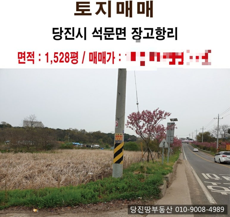 장고항주유소 이미지