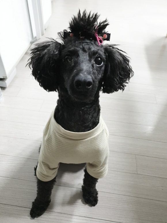 까미헤어 이미지