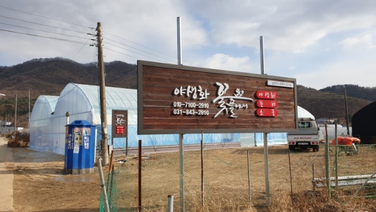 꽃뜰에서 이미지