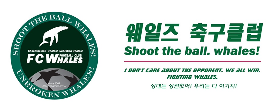 웨일즈에프씨 이미지