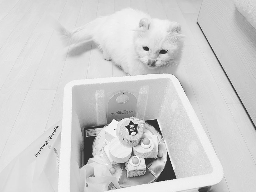 참치곶간 이미지