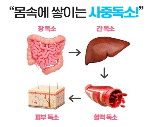 자연크린 이미지