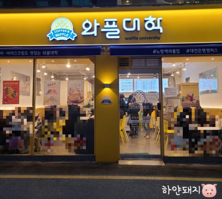 와플대학대전 이미지