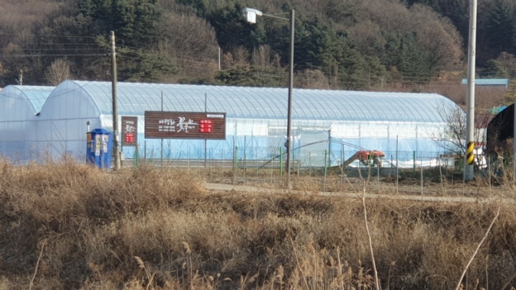 꽃뜰에서 이미지