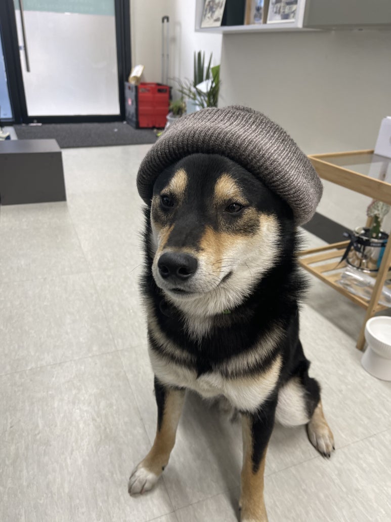 네일닷킴 이미지