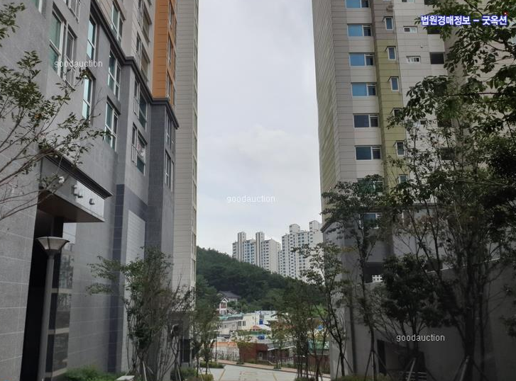 감전초등학교병설유치원 이미지
