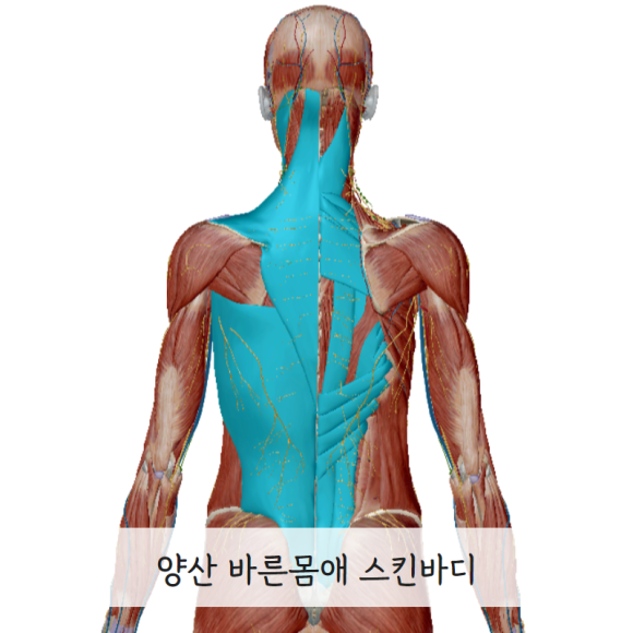 정안체형&에스테틱 이미지