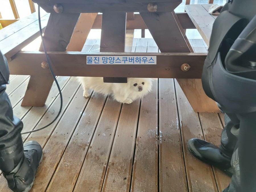 망양스쿠버하우스 이미지