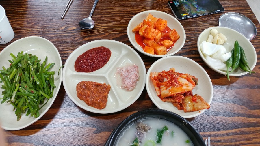 고향돼지 이미지