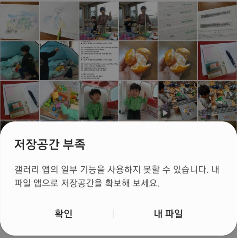 오장전자 이미지