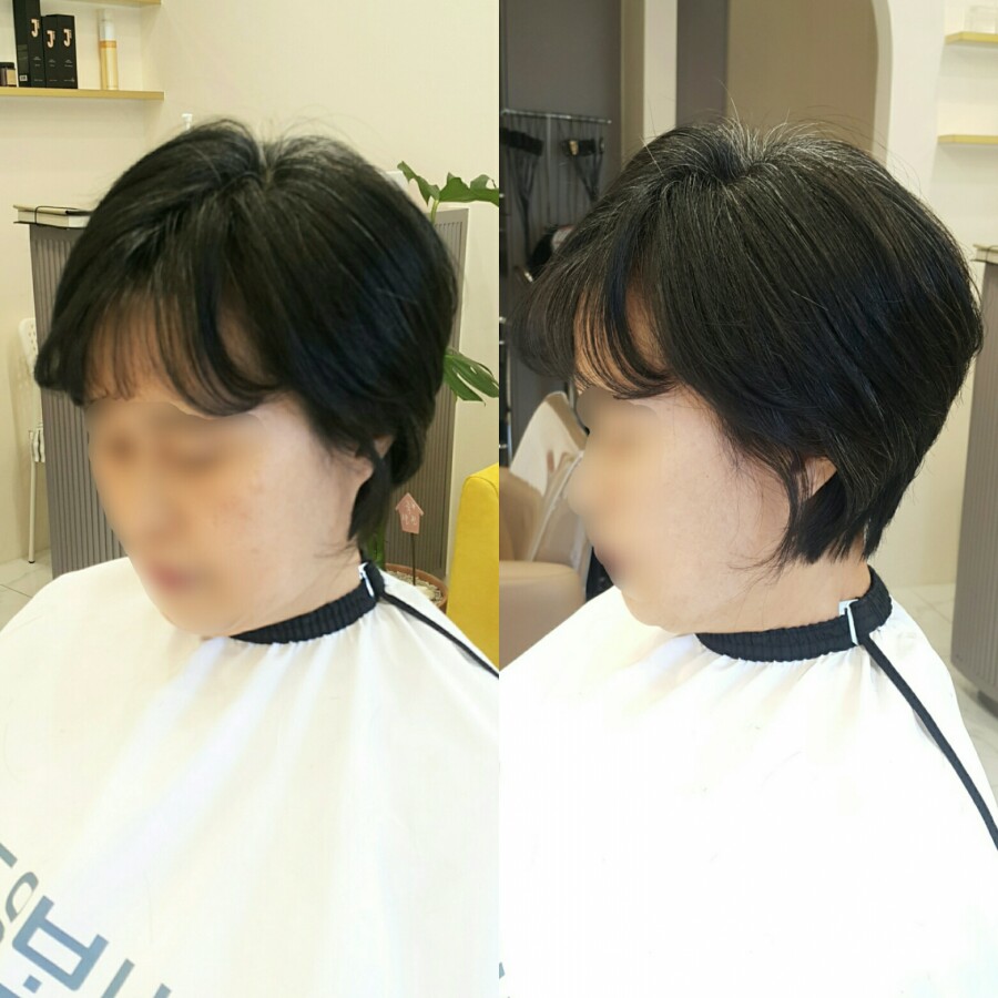 도유보네르 이미지