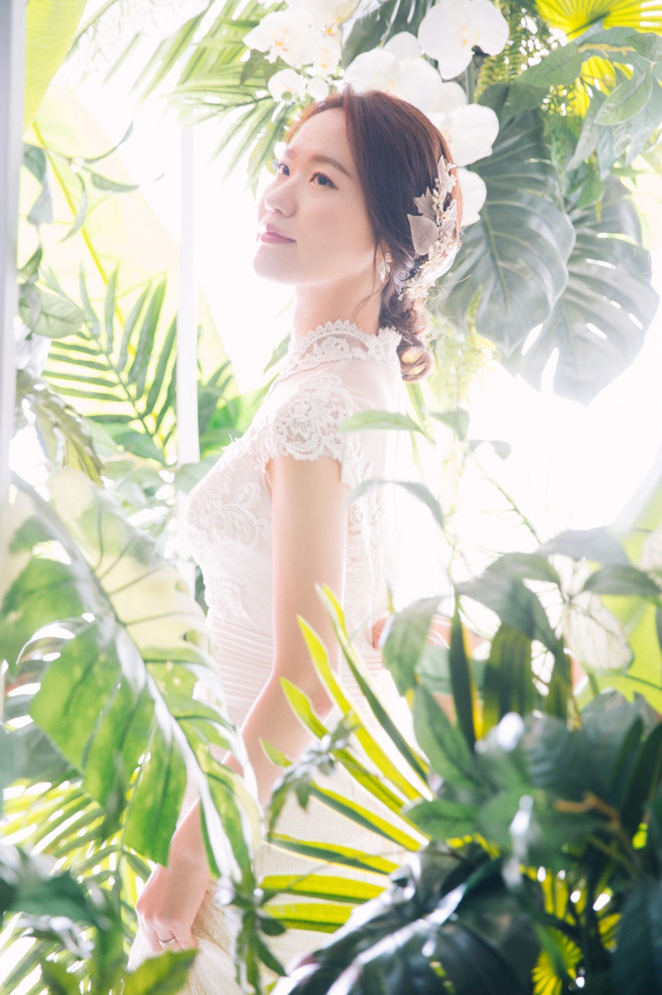 다게르 이미지