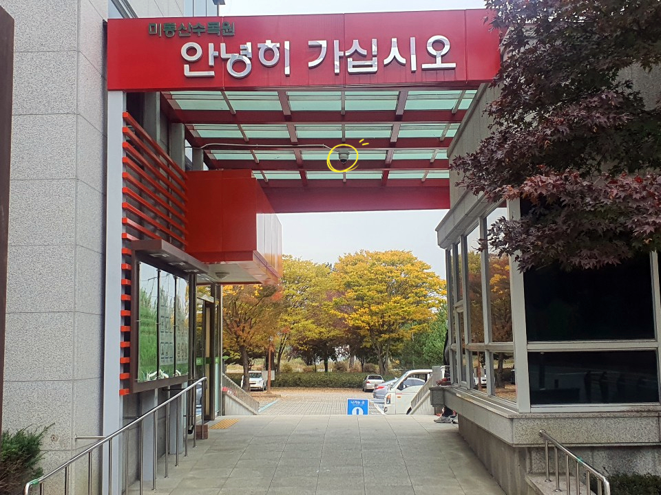 주식회사 다인스 이미지