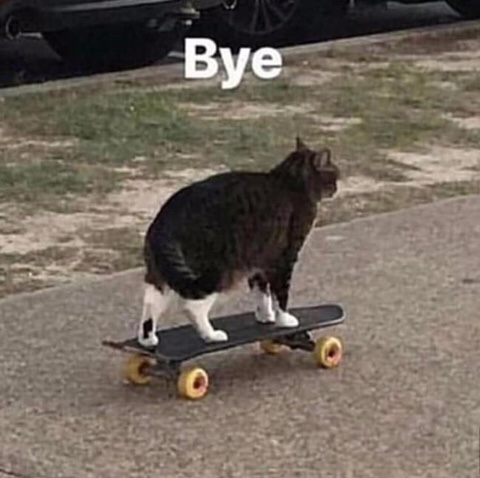 달달문 이미지