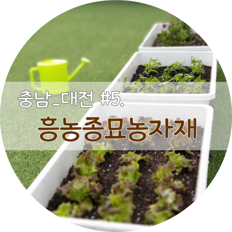 흥농농약종묘 이미지