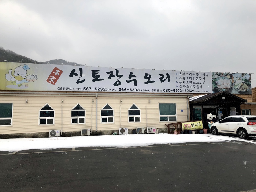 장수오리 이미지