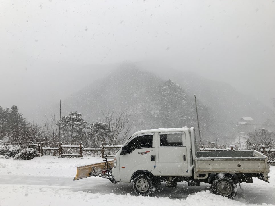 산속청년들 이미지