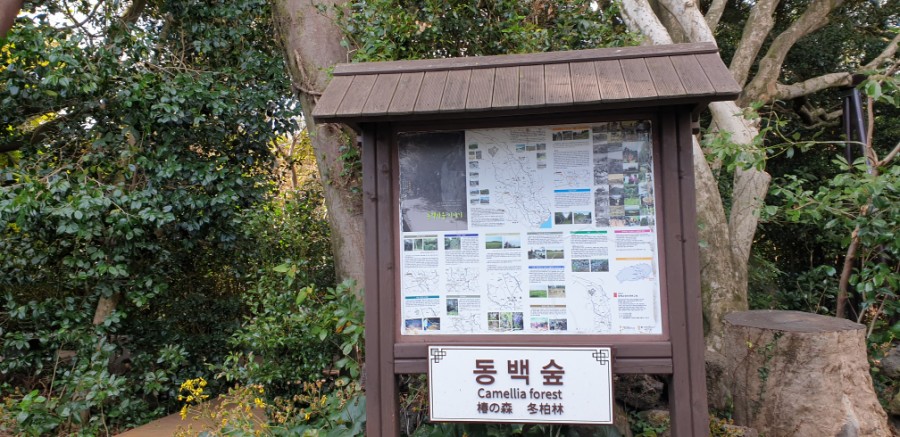 동백고장보전연구회 이미지
