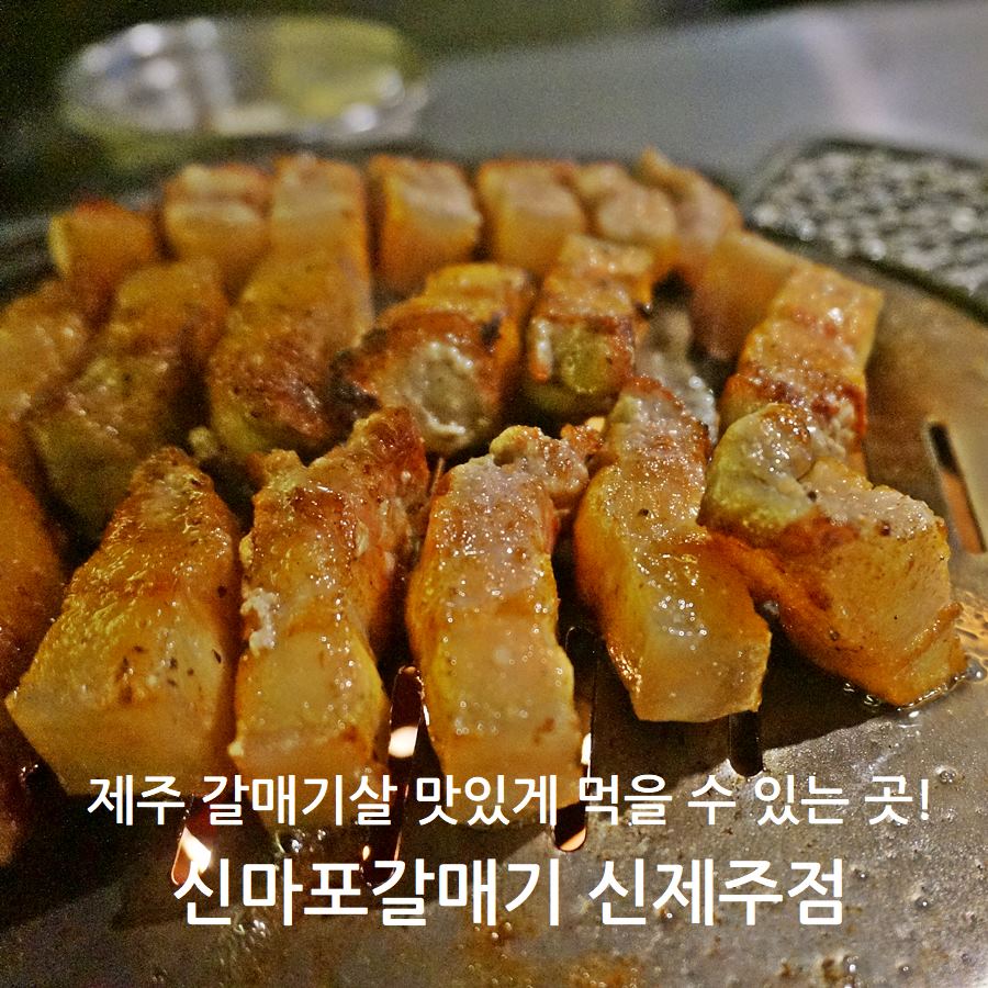 신마포갈매기신제주점 이미지