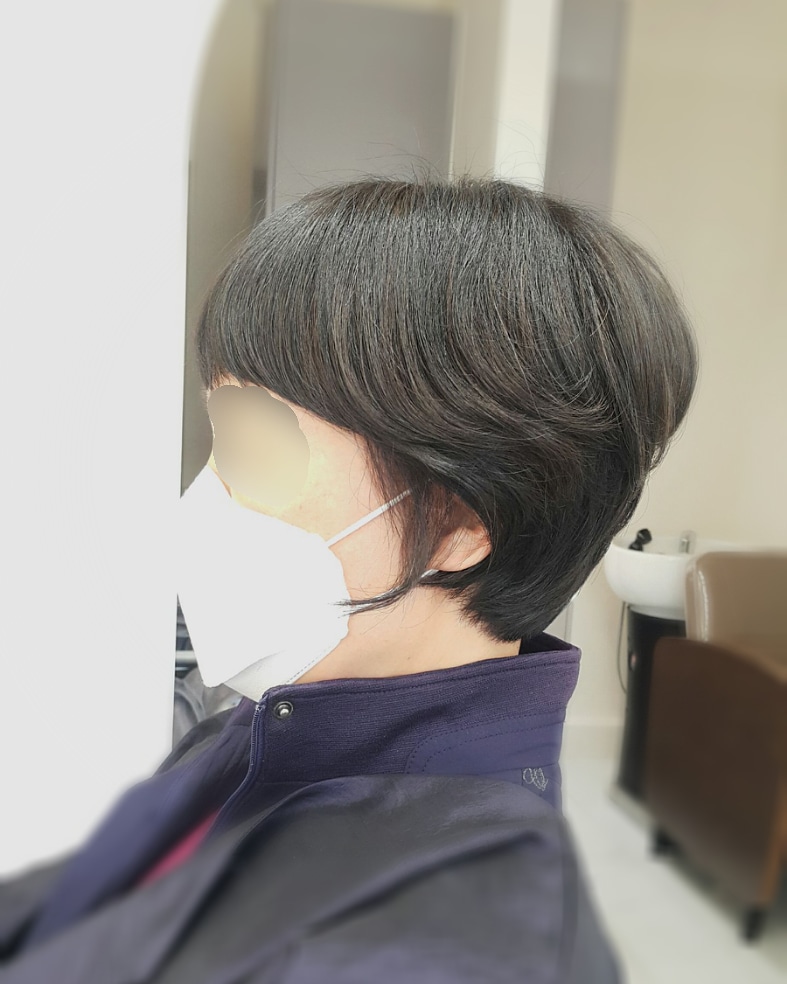 도유보네르 이미지