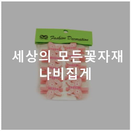 나비꽃자재 이미지