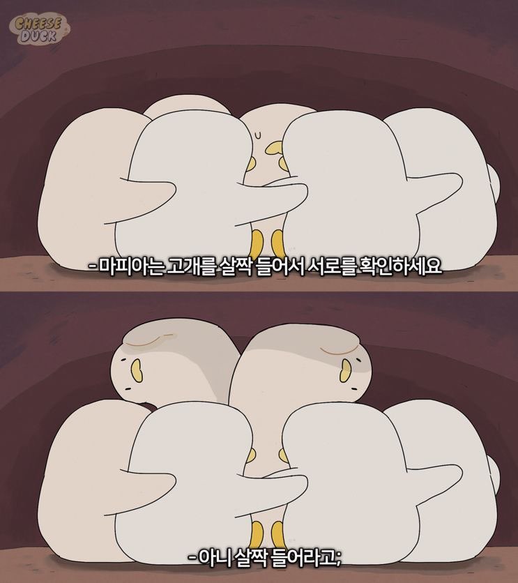 어느날;사진관 이미지