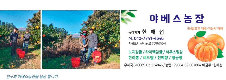 야베스푸드 이미지