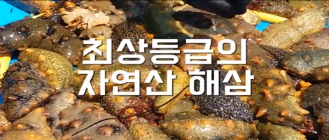 칭도원 이미지