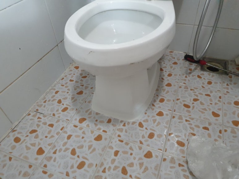 거북이카센터 이미지