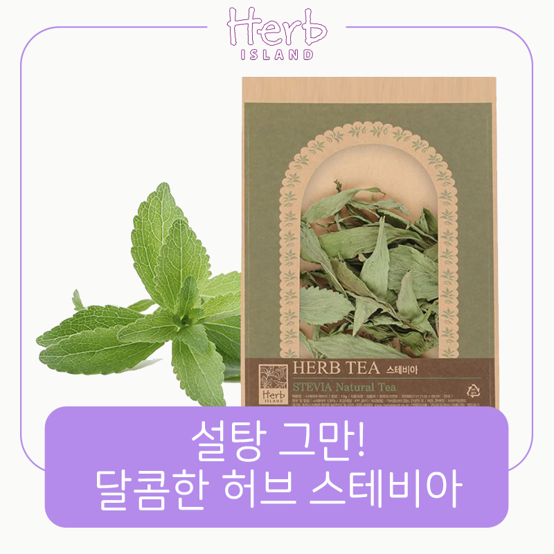 스테비아 이미지