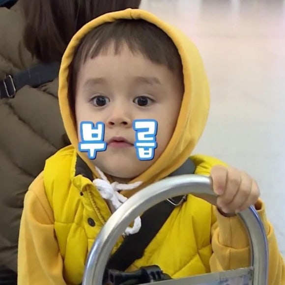 리가든 이미지