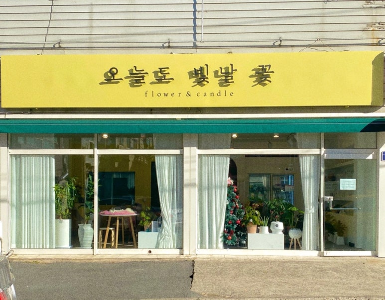 오늘도빛날꽃 이미지