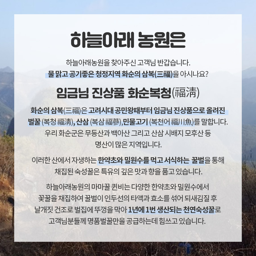 마마식품 이미지