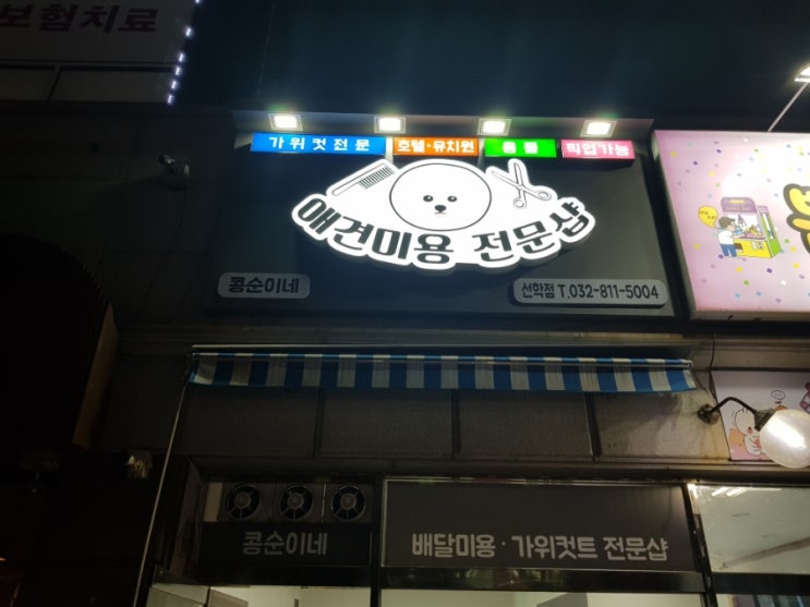 콩순이네 이미지