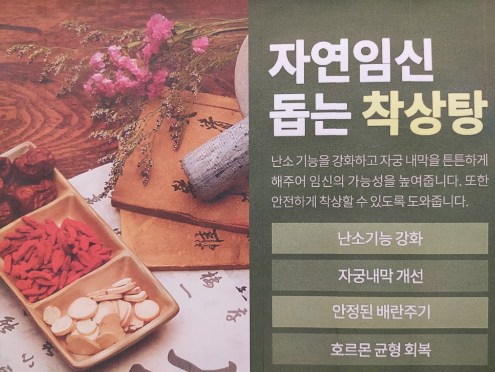 인애과학 이미지