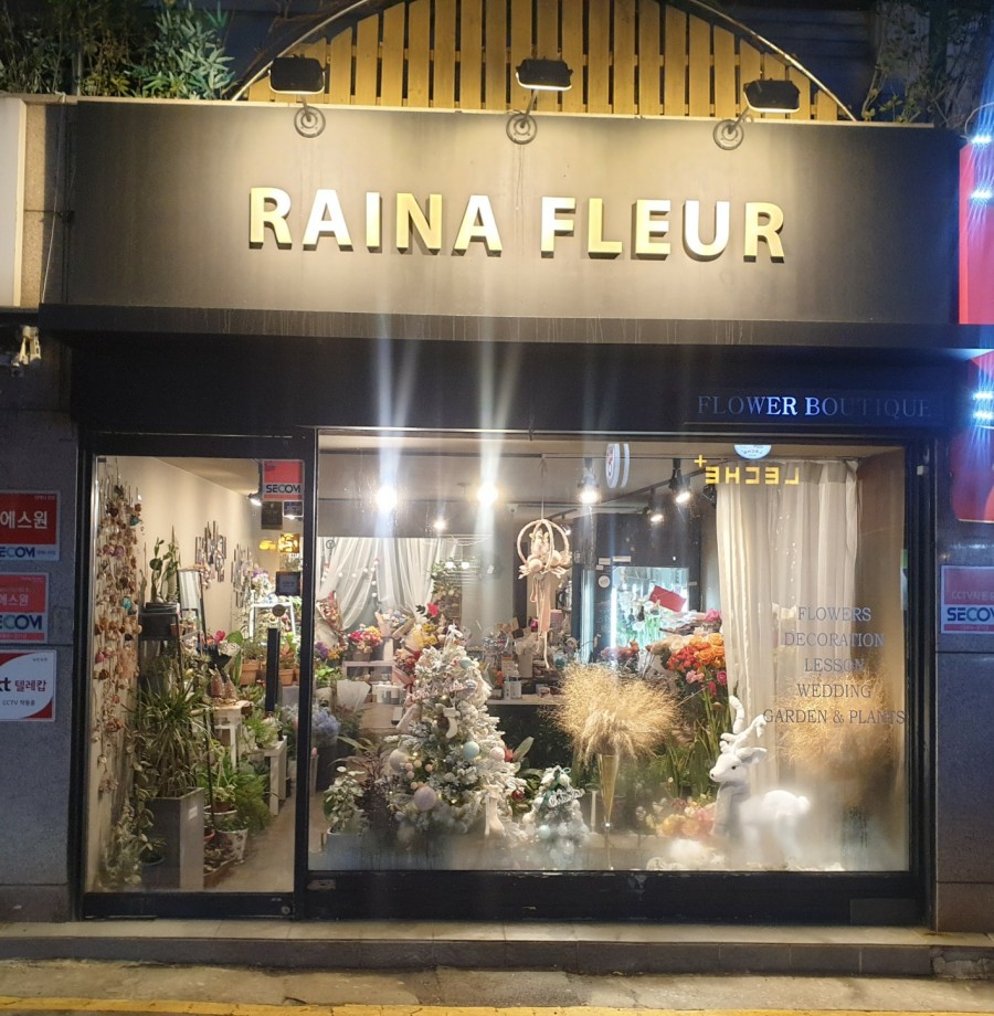 레이나플레르 이미지