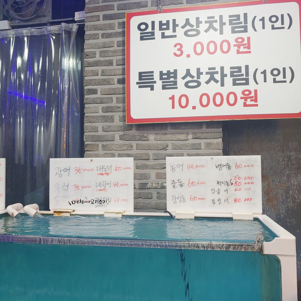 입안에바다 이미지