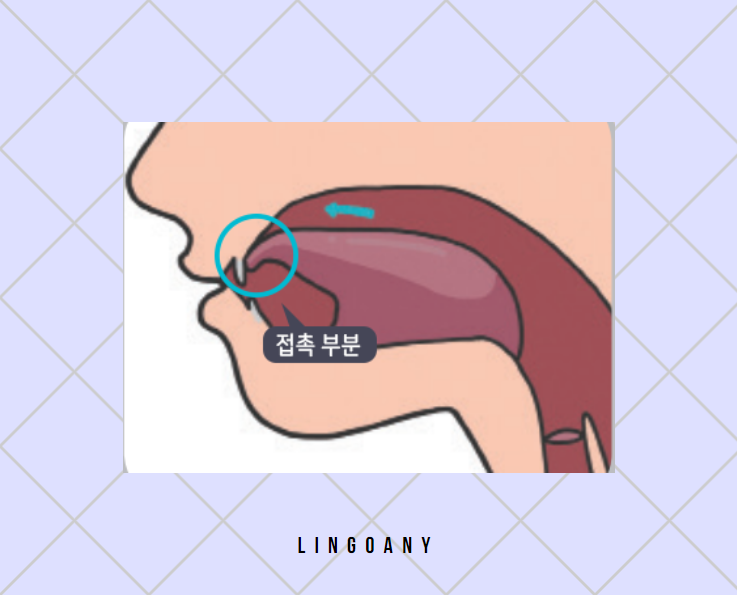 한글 ㄷ '디귿' 철자와 발음 제대로 이해하기 : 네이버 블로그