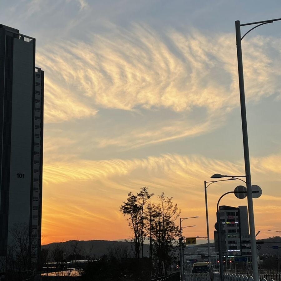 울산송정이유집 이미지