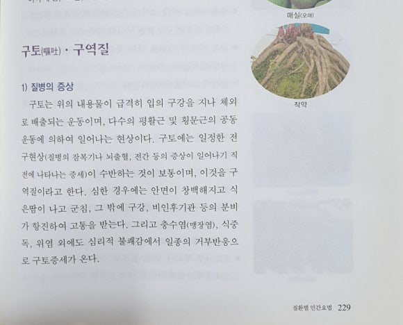 포도나무녹즙 이미지