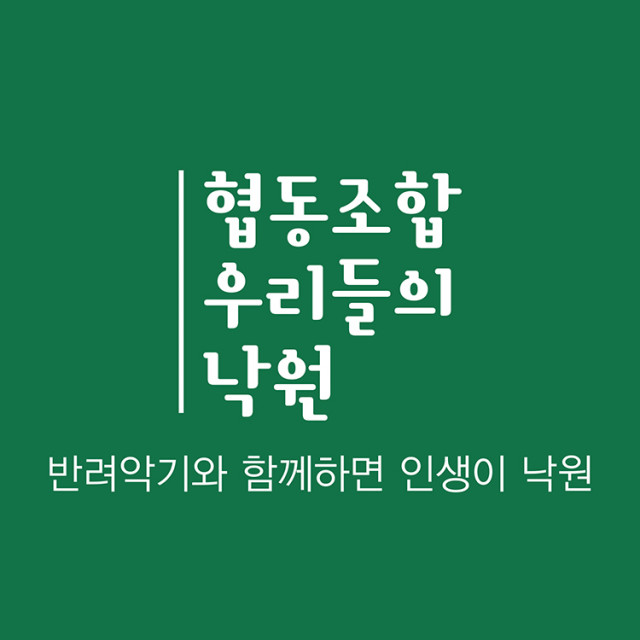 세움협동조합 이미지
