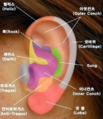 양군피어싱 이미지
