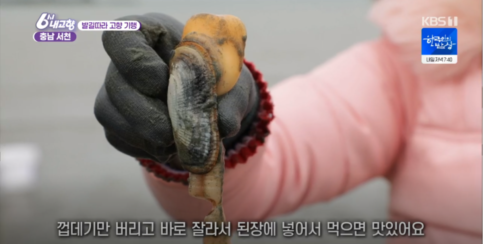 해전 아구찜 이미지