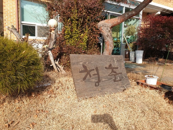 청춘만두 이미지