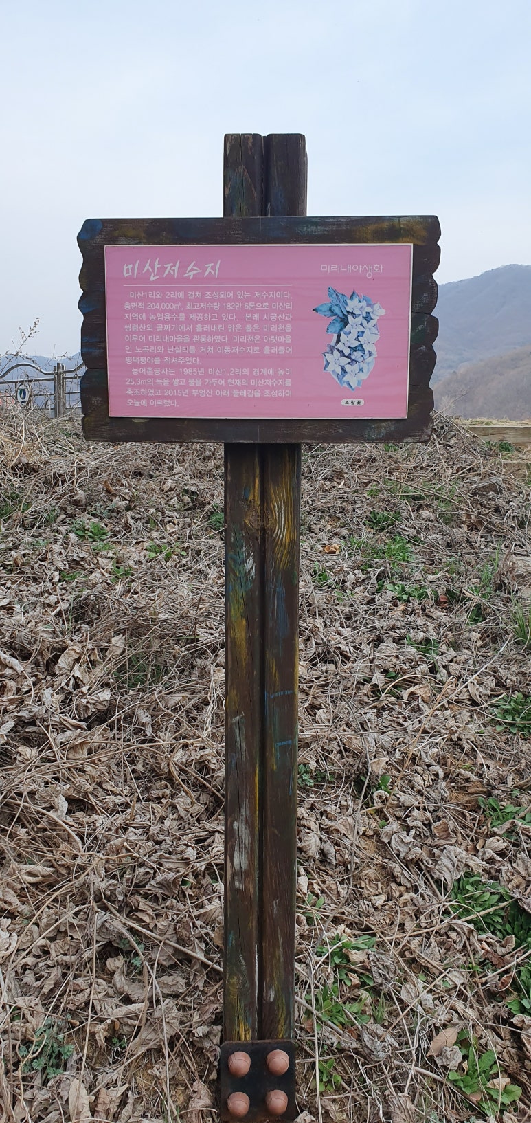 미산개발 이미지