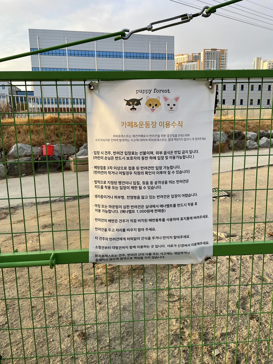 퍼피포레스트 이미지