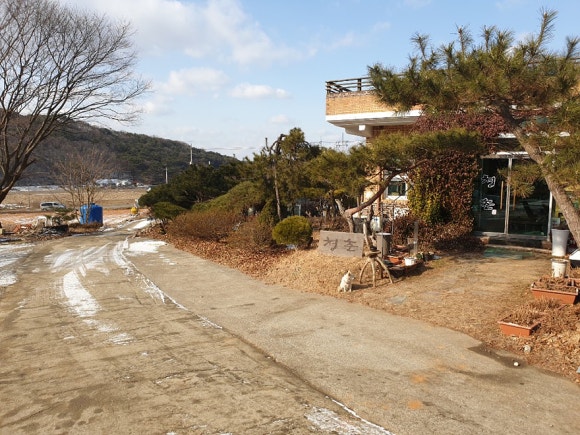 청춘만두 이미지