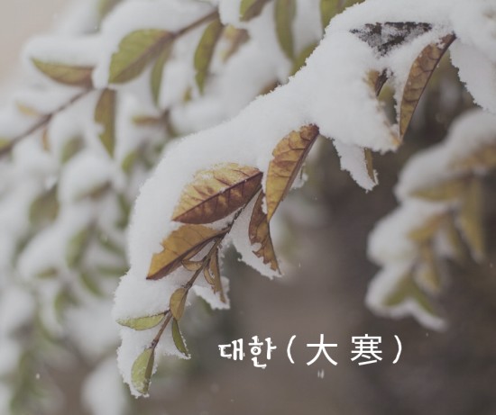 장터삼겹살 이미지