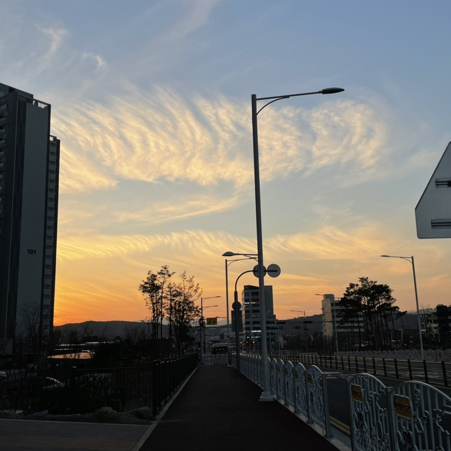 울산송정이유집 이미지